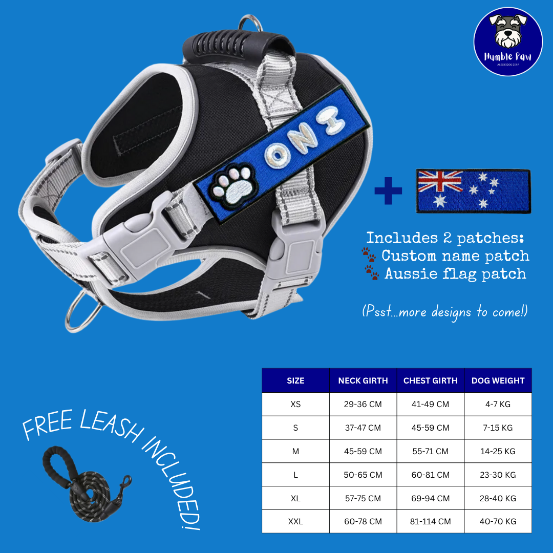 Humble Paw Signature Harness Set