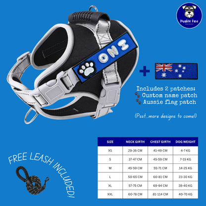 Humble Paw Signature Harness Set