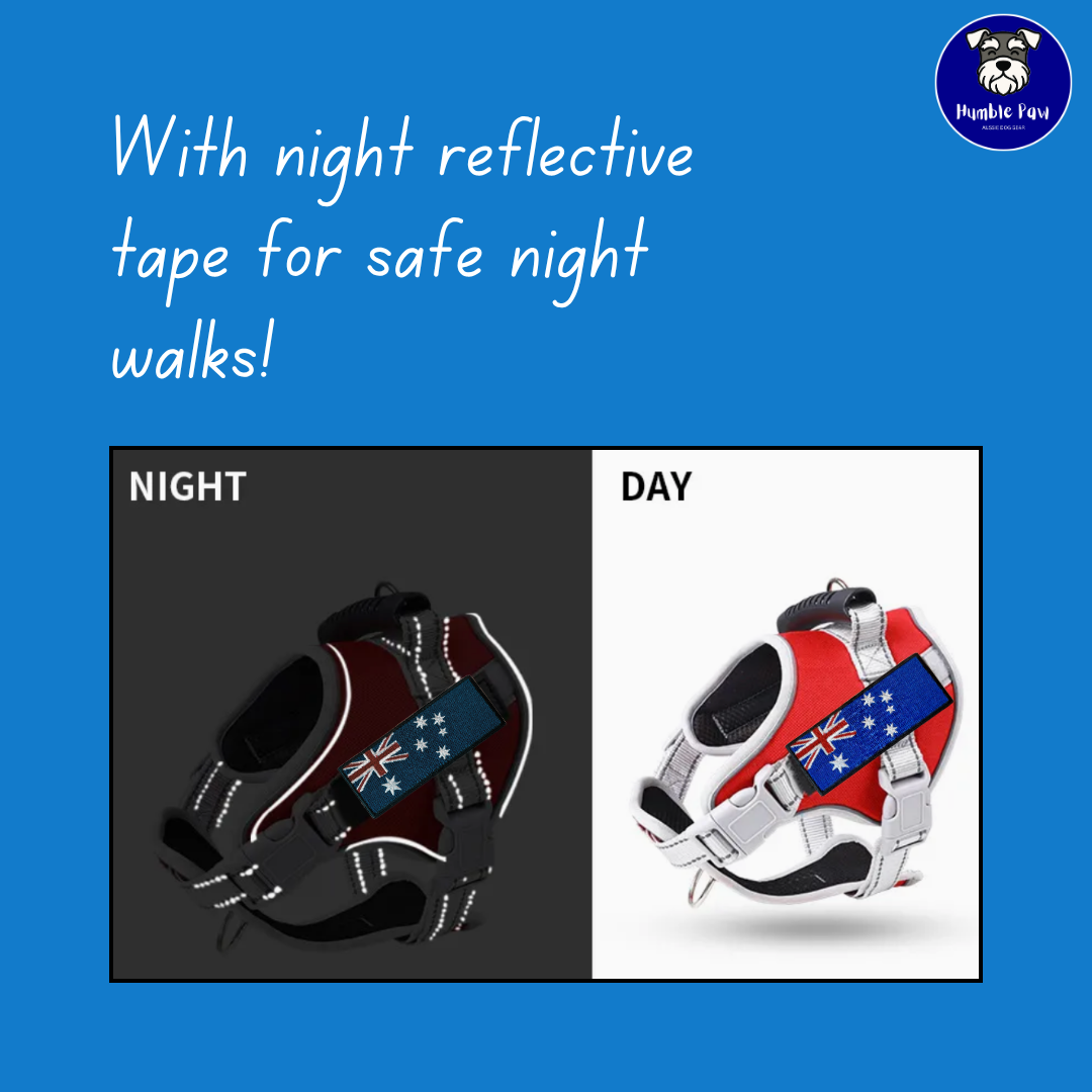 Humble Paw Signature Harness Set