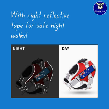 Humble Paw Signature Harness Set