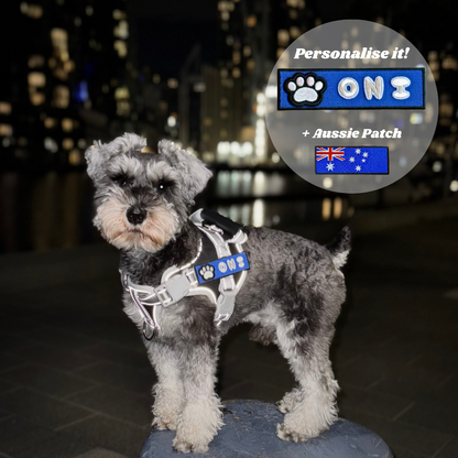 Humble Paw Signature Harness Set