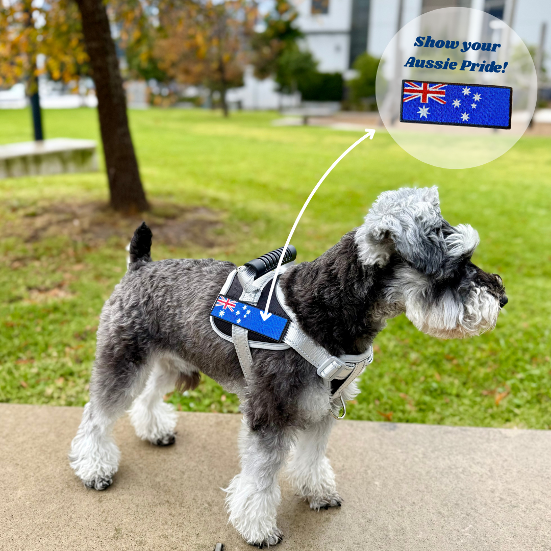 Humble Paw Signature Harness Set